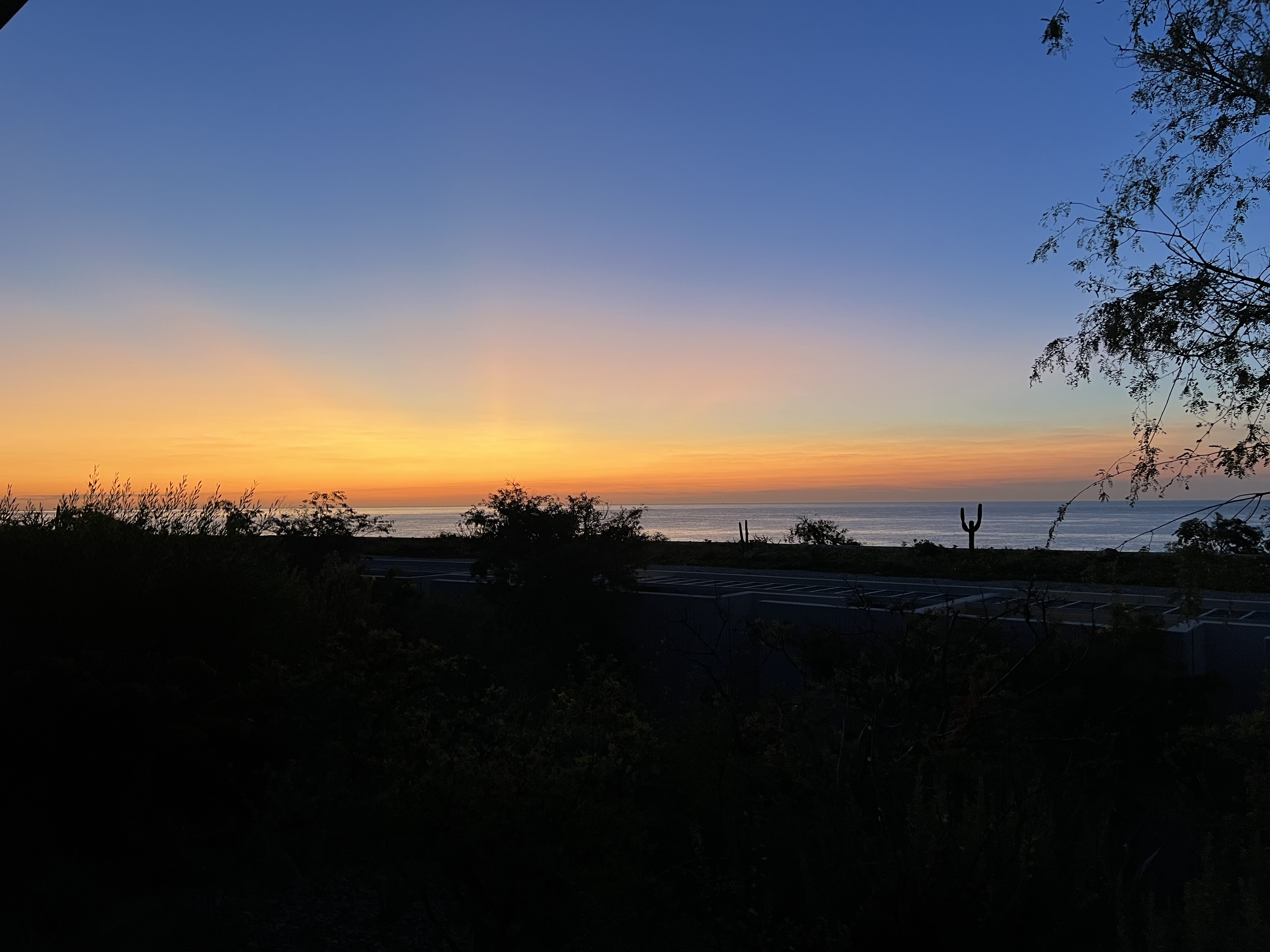 ./2024/13 - Cabo/IMG_4916.jpg